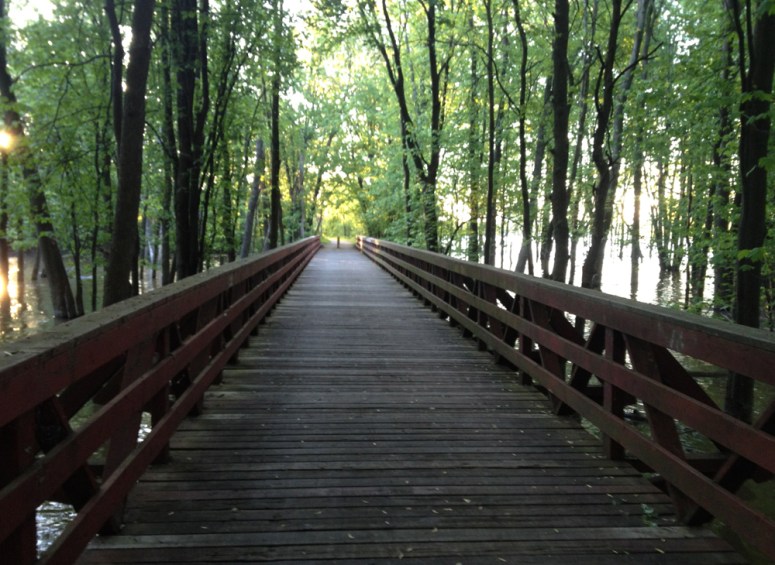 bridge